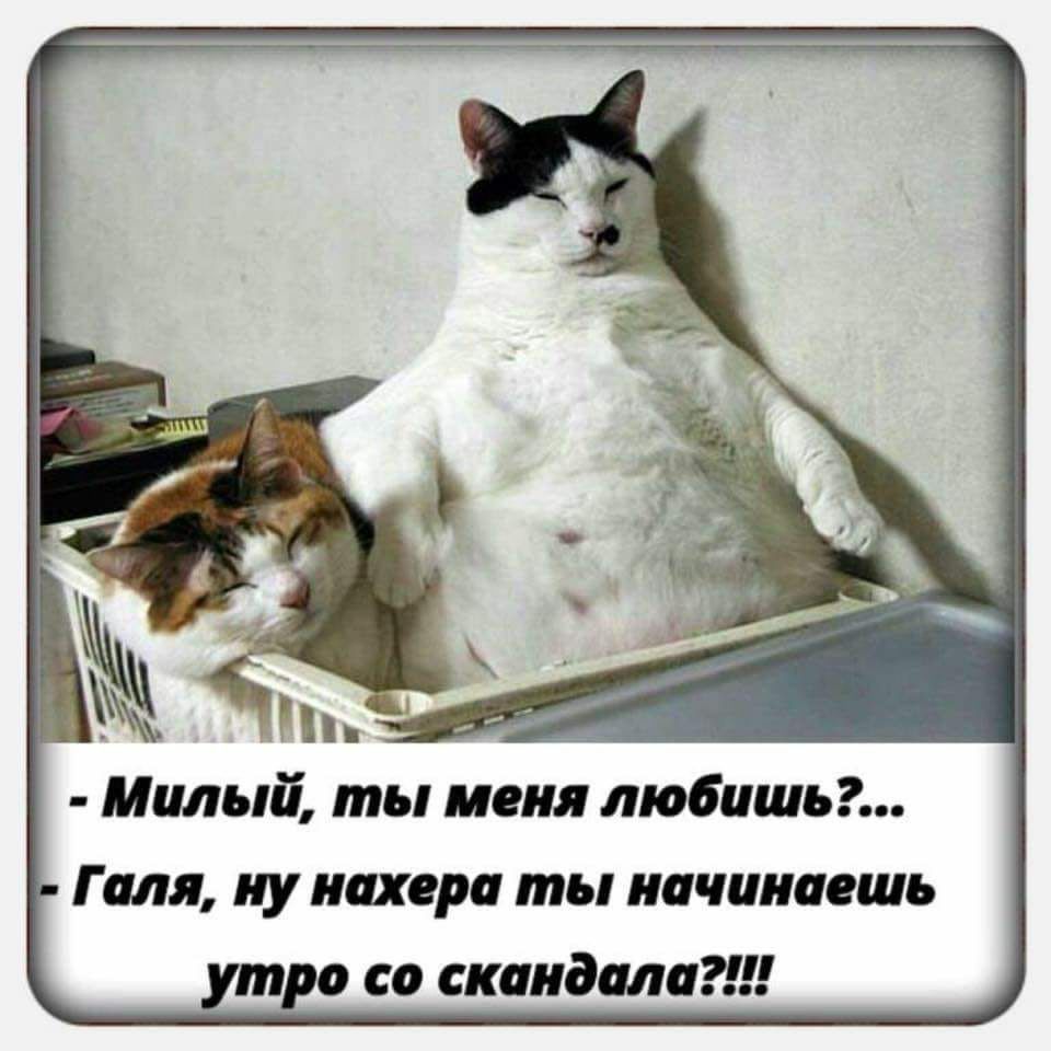 Галя ну нихера ты начинаешь т а со скандал