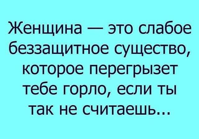 Женщина это слабое беззащитное существо которое перегрызет тебе горло если ты так не считаешь
