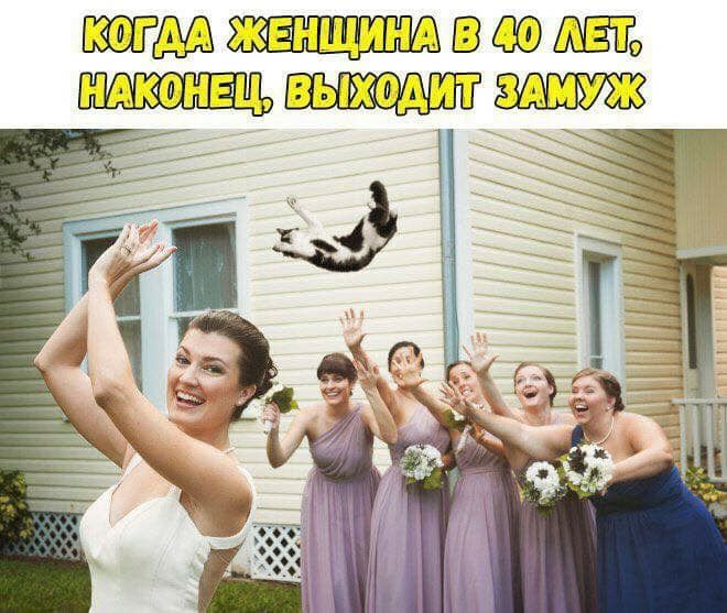 ШЗОФЩЁЁЬ Ё