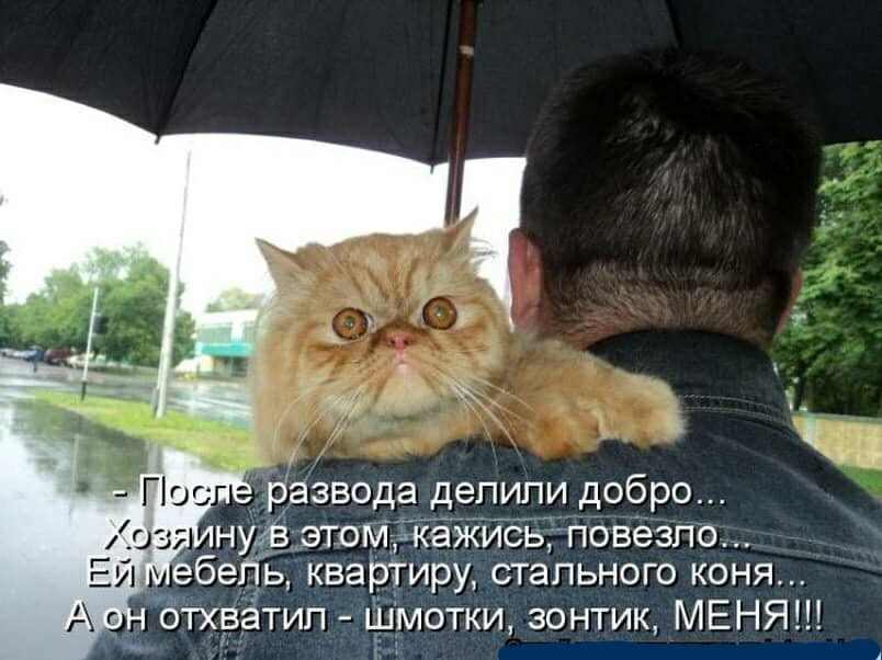 ну _это жйсь певезпо бегиь квартиру стального коня ь_
