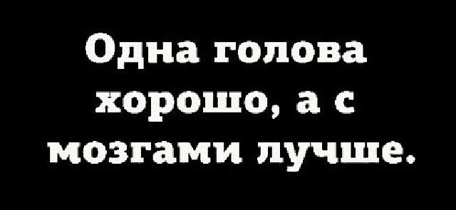 Одна голова хорошо а с мозгами лучше