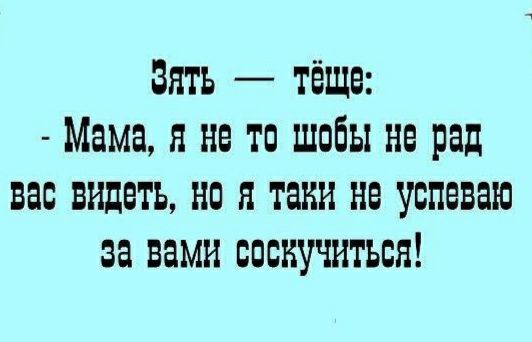 Зять тёща Мама я не то шобы не рад вас видеть на я таки не успеваю за вами соскучиться