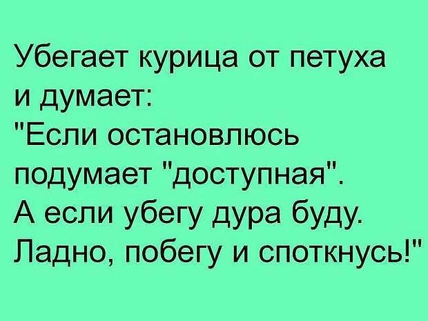 Убегает курица от петуха и думает Если остановлюсь подумает доступная А если убегу дура буду Ладно побегу и споткнусь