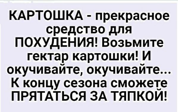 КАРТОШКА прекрасное средство для ПОХУДЕНИЯ Возьмите гектар картошки И окучивайте окучивайте К концу сезона сможете ПРЯТАТЬСЯ ЗА ТЯПКОЙ