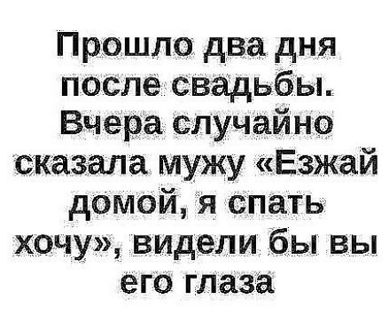 Прошло два дня послесвадьбы Вчера случайно сказала мужу Езжай домой я Спать хочу видели бы вы его глаза