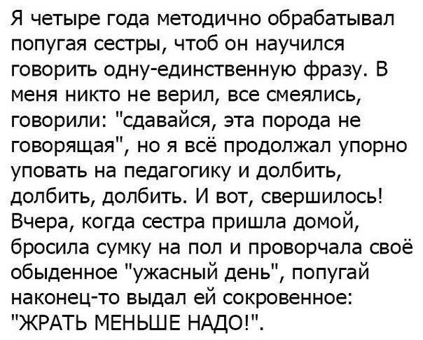 Я четыре года методично обрабатывал попугая сестры чтоб он научился говорить одну единственную фразу В меня никто не верил все смеялись говорили сдавайся эта порода не говорящая но я всё продолжал упорно уповать на педагогику и долбить долбить долбить И вот свершилось Вчера когда сестра пришла домой бросила сумку на пол и проворчала своё обыденное ужасный день попугай наконец то выдал ей сокровенн