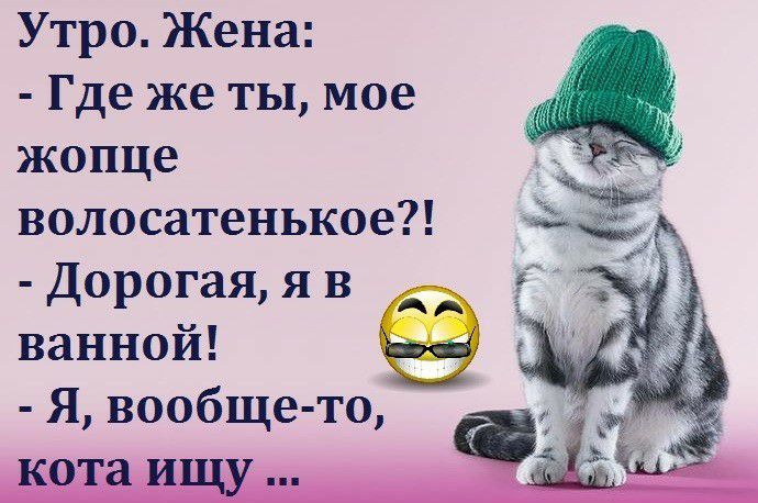 Утро Жена Где же ты мое жопце волосатенькое Дорогая я в ванной Я вообще то