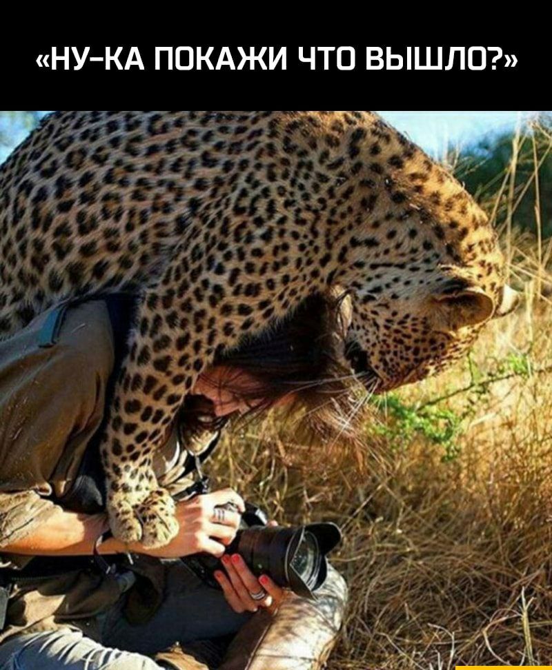 НУКА ПОКАЖИ ЧТО ВЫШЛП