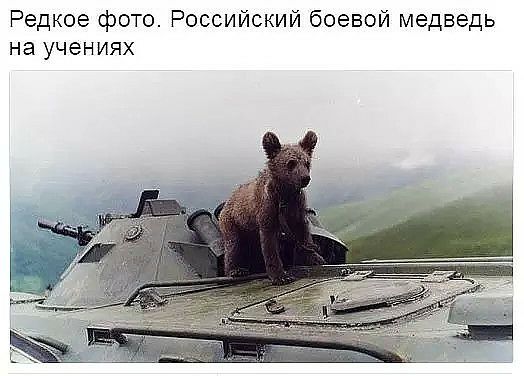 Редкое фото Российский боевой медведь на учениях