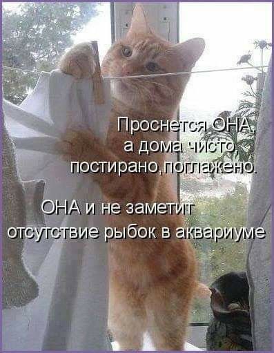 ОНА и не замет отсущтвие рыбок в аквариуме Ъ в