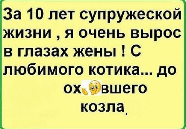 За 10 лет супружеской жизни я очень вырос в глазах жены С любимого котика до охиёвшего козла_