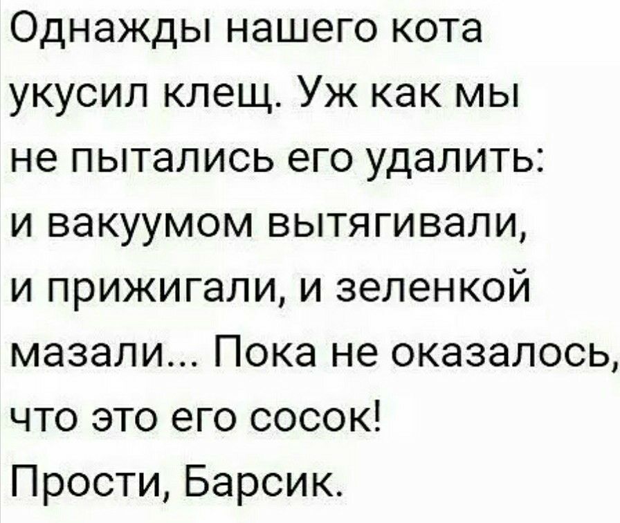 Остроумные тексты. Смешные тексты. Приколы с текстом. Смешные картинки с текстом. Шутки текст.