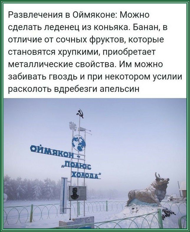 Развлечения в Оймяконе Можно сделать леденец из коньяка Банан в отличие от сочных фруктов которые становятся хрупкими приобретает металлические свойства Им можно забивать гвоздь и при некотором усилии расколоть вдребезги апельсин
