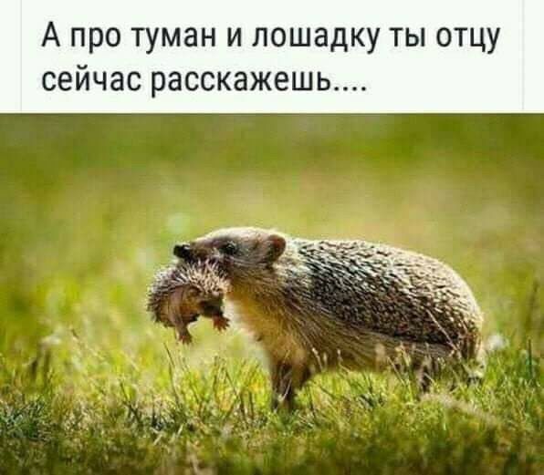 А про туман и лошадку ты отцу сейчас расскажешь