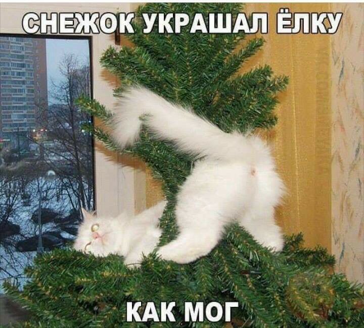 Снежок украшал елку как мог