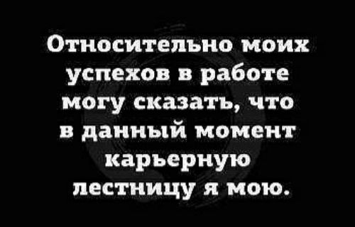 Относительно моих успехов в работе могу сказать что в данный момент карьерную лестницу и мою