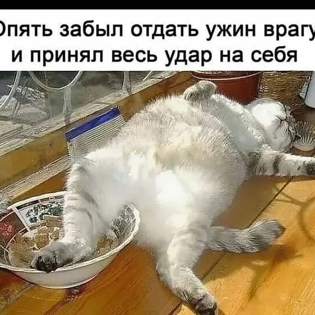 пять забыл отдать ужин вра и принял весь удар на себя