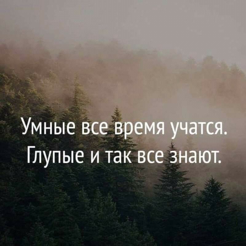 г 60 Глупые и тамкдьдд