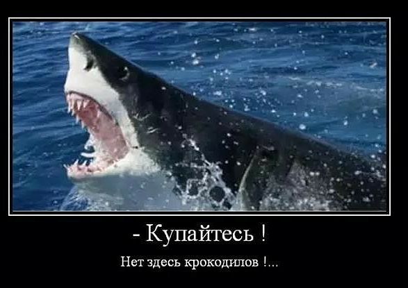 Нет здесь крокодилов
