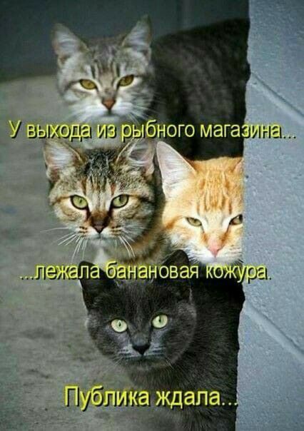 Увыхода й рьы ч