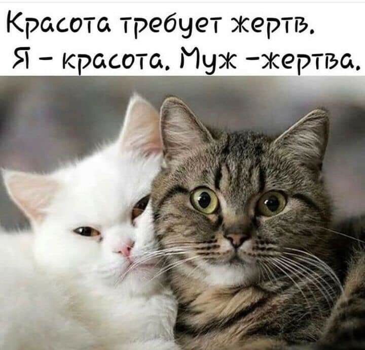 Красота требует Жертв Я кэасота Муж ертва