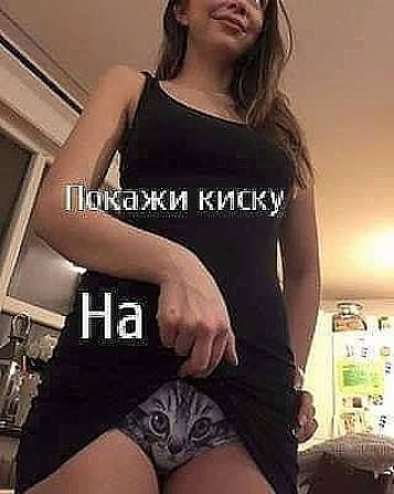 ажи киску