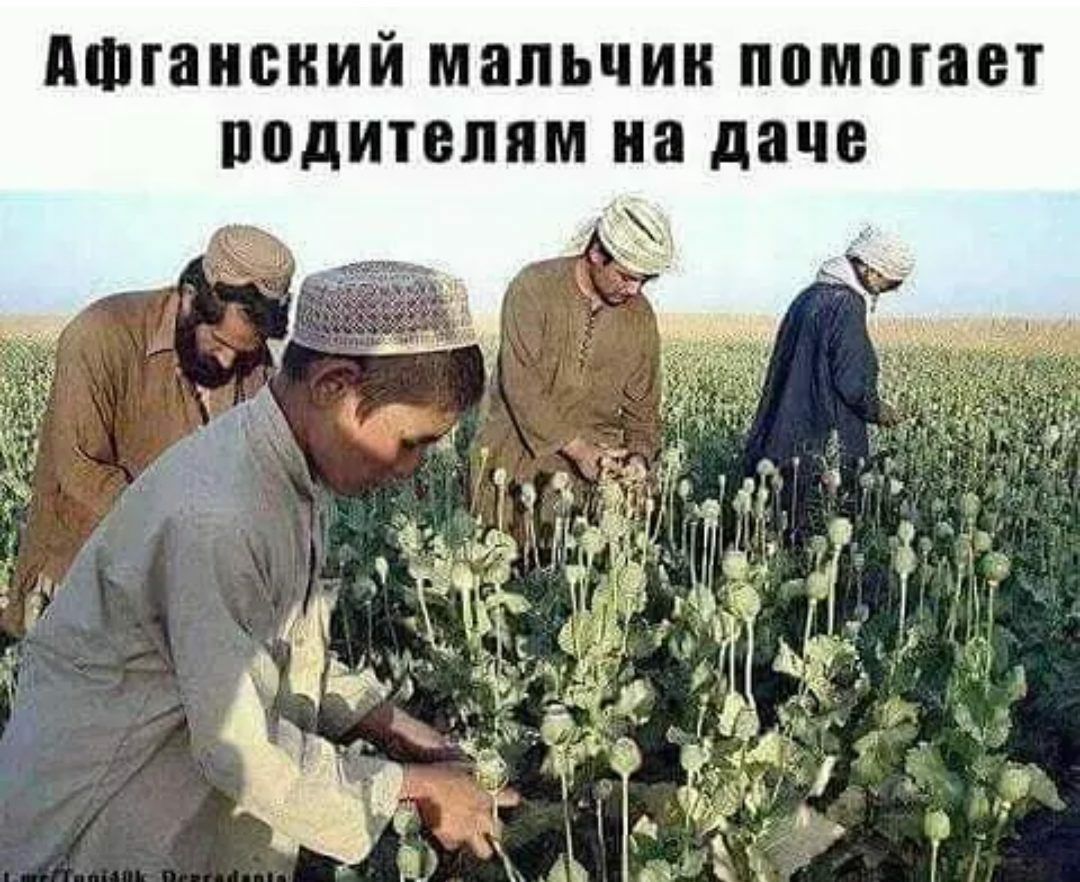 АФШНВКИЙ МППЬЧИН ПВМППЮТ ППДИТОЛПМ на даче