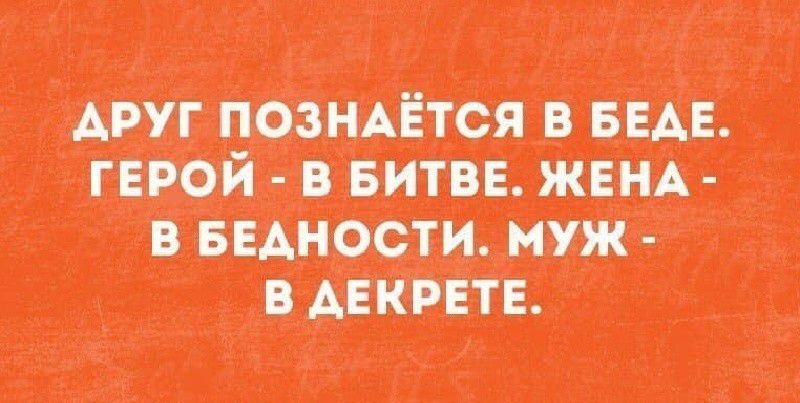 ш птицам