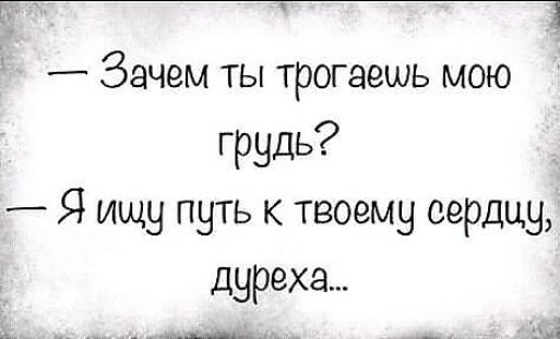 Зачем ты трогаешь мою грудь Я ищу путь к твоему сердцу дуреха Ы_ _