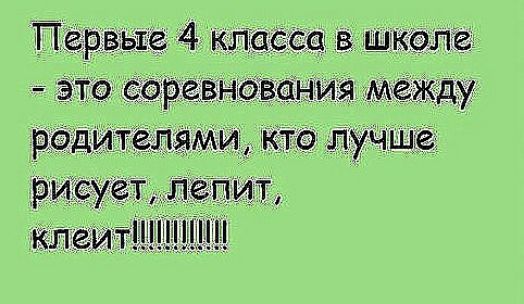 вые 4 клеща в шкеле