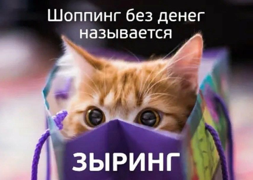 Шоппинг без денег называется