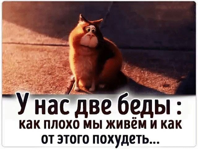 У насдве 6_еды как ПЛОХО мы живем И как ОТ ЭТОГО ПОХУДЕТЬ