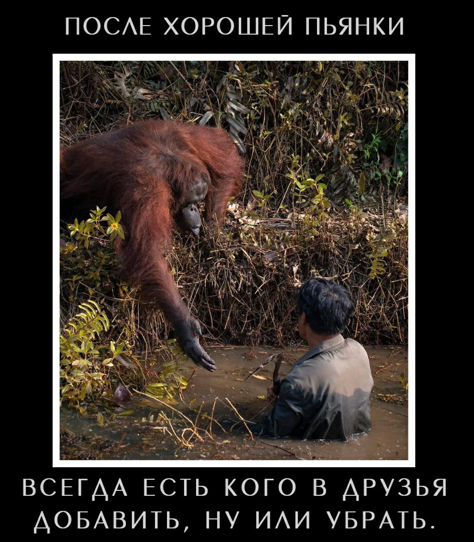 ПОСЕ ХОРОШЕЙ ПЬЯНКИ ВСЕГАА ЕСТЬ КОГО В ДРУЗЬЯ ДОБАВИТЬ НУ ИАИ УБРАТЬ