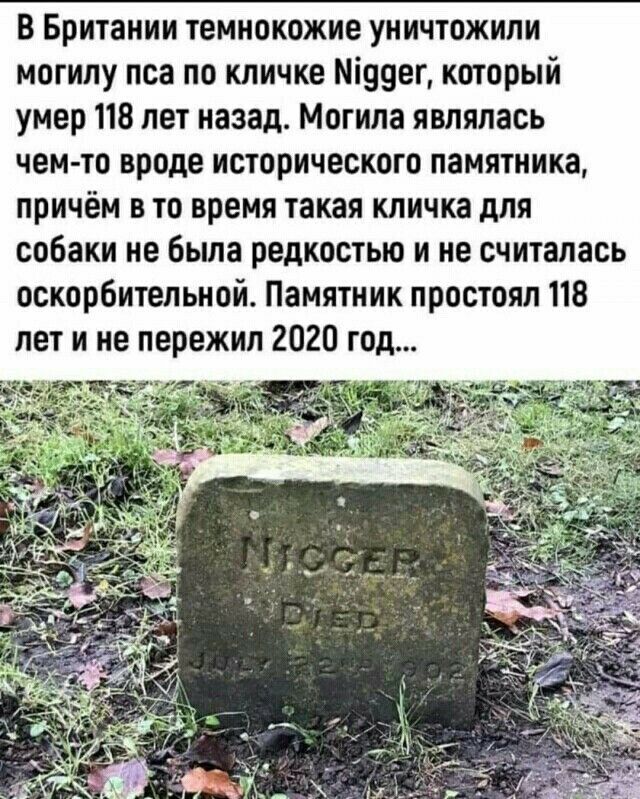 В Британии темнокожие уничтожили могилу пса по кличке Міяуег который умер 118 лет назад Могила являлась чем то вроде исторического памятника причём в то время такая кличка для собаки не была редкостью и не считалась оскорбительной Памятник простоял 118 лет и не пережил 2020 год