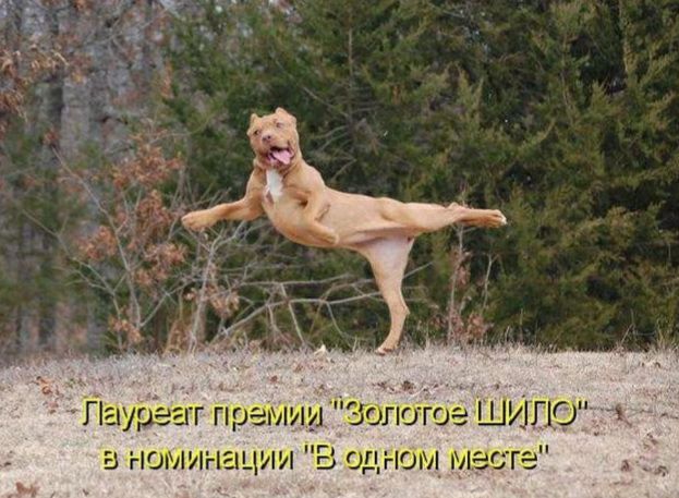_ Д г гірешіищ30гогое ш _ ЦИИ Ег0_ Г