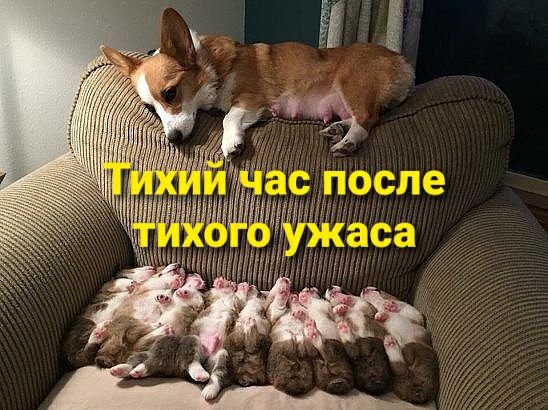 ирткии