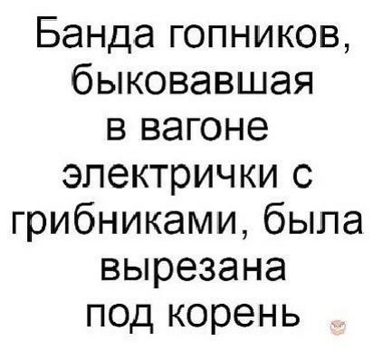 Банда гопников быковавшая в вагоне электрички с грибниками была вырезана под корень