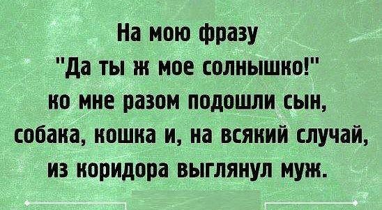 На мою фразу да ты мое солнышко но мне разом подошли сын собака кошка и на всякий случай из коридора выглянул муж