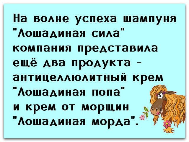 На воне успеха шампуня АошаАиная сида компания предстаВИАа ещё два продукта антицеддюдитный крем АошаАиная попа и крем от морщин Аошадиная мордаі3