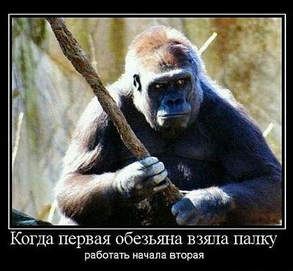 Когда первая обезъяна взяла папку работать начала вторня