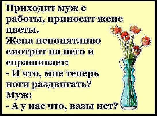 ПРИХОДИТ муже работы приносит жене цветы Жена непонятливо смотрит на него и спрашивает И что мне теперь ноги раздвигать Муж А у нас что вазы нет 1