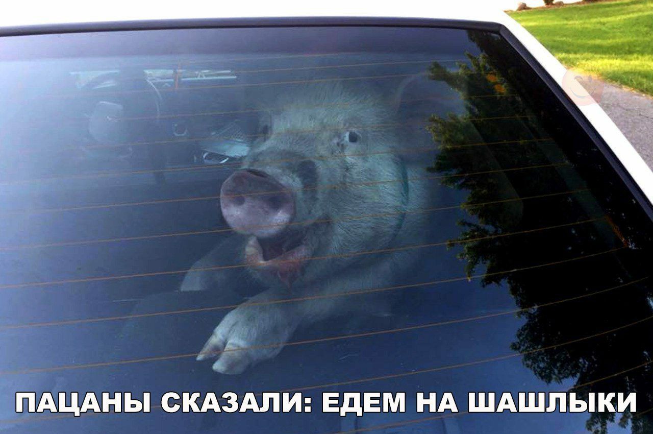 ПАЦАНЫ СКАЗАПИ ЕдЕМ НА ШАШПЫКИ