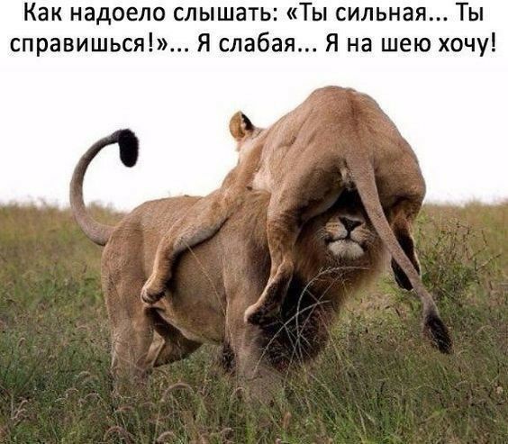 Как надоело слышать Ты сильная Ты справишься Я на шею хочу