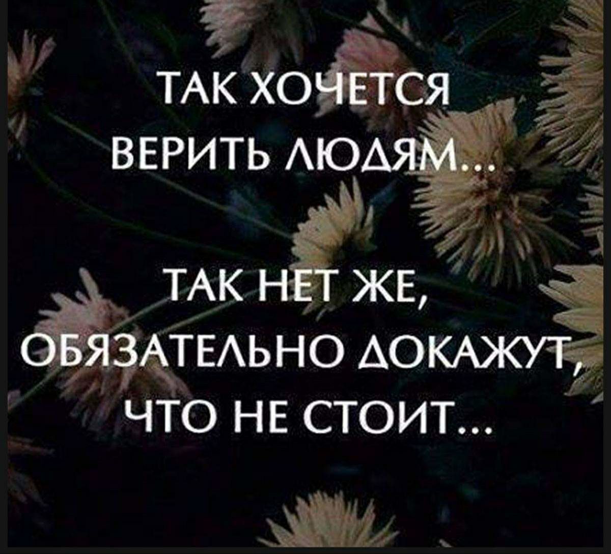 ТЕАЬНО АО что не стоит 74 ЛТАК ЖЕКот