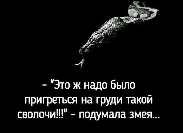 Это ж надо было пригреться на груди такой сволочи подумала змея