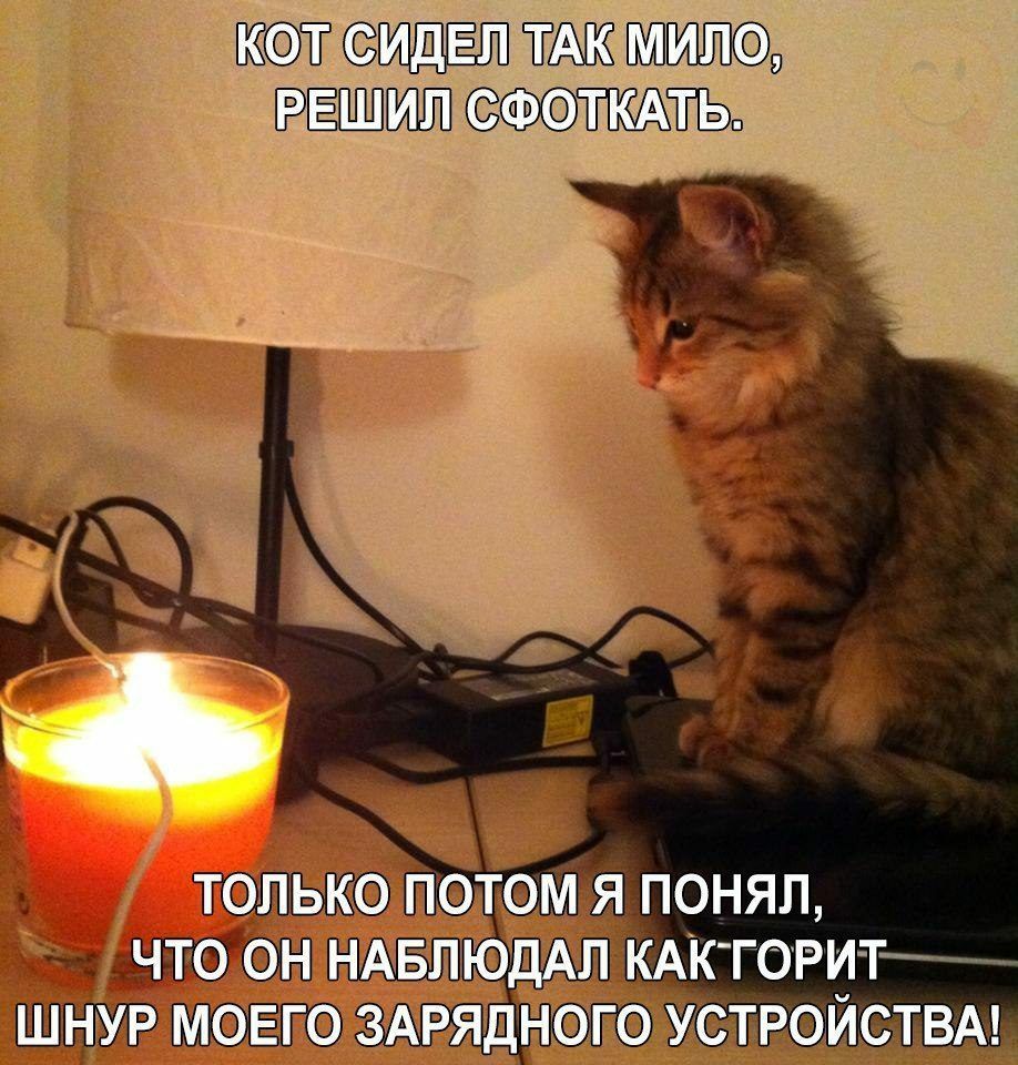 калька ШНУР МФП
