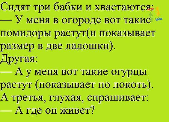 Сидптрибабшкшштщ Уишвогородевме помидорнрасгукя размервдвешдошп А уишвоттакиеотурщы расту повшшполокотъ Атршъдгцухаядпращет Агдеонживет
