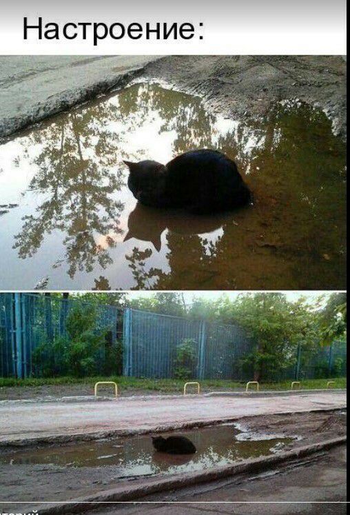 Настроение