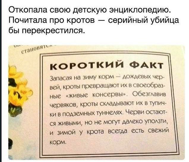 Откопала свою детскую энциклопедию Почитала про кротов серийный убийца бы перекрестипся ЕТШШПИЦ КОРОТКИЙ ФАКТ Зыпасвя на зиму корм АожАсных чер вай кроты превращают их в воеобраз ные живые консервы Обезмавив червяков кроты скдаАьтвают их в тупищ ки в поАземных туннемх Черви остают ся живыми но не могут дахехе упомти и зимой у крота всегда есть свежий корм
