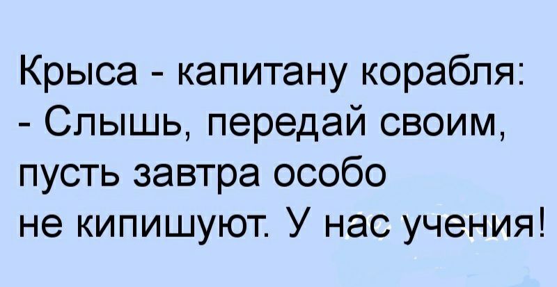 Крыса капитану корабля Слышь передай своим пусть завтра особо не кипишуют У нас учения